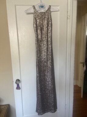 Elegant sequin dress, Sorella Vita Platinum/Gold Sequin